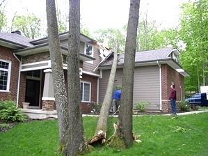 Tree Hugger Tutorial | Portable Tree Jack In Action